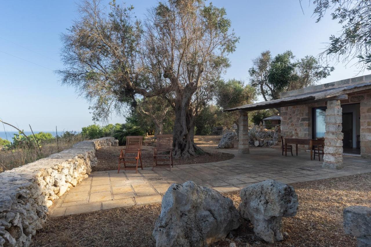 Levante E Libeccio Villette Vista Mare - Marina Di Андрано Екстериор снимка