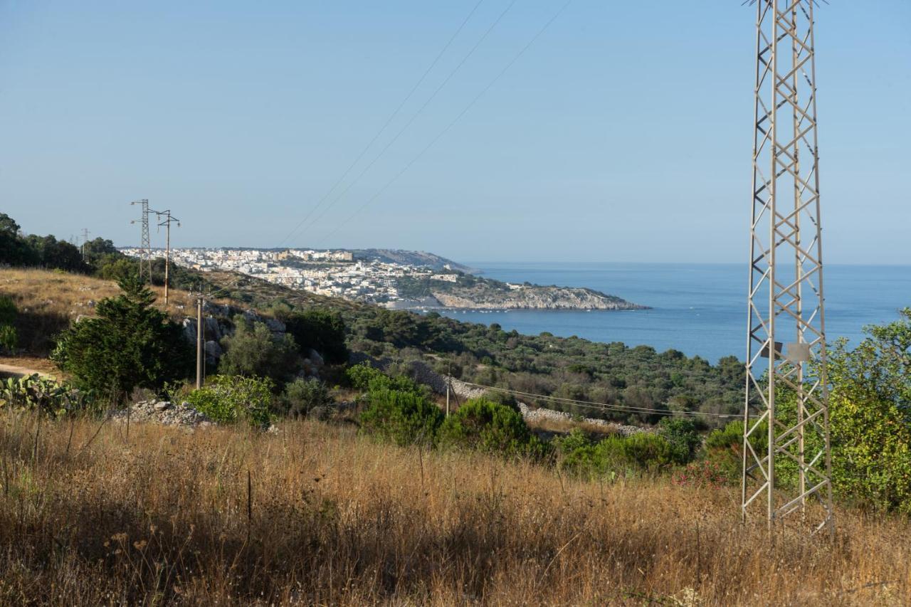 Levante E Libeccio Villette Vista Mare - Marina Di Андрано Екстериор снимка