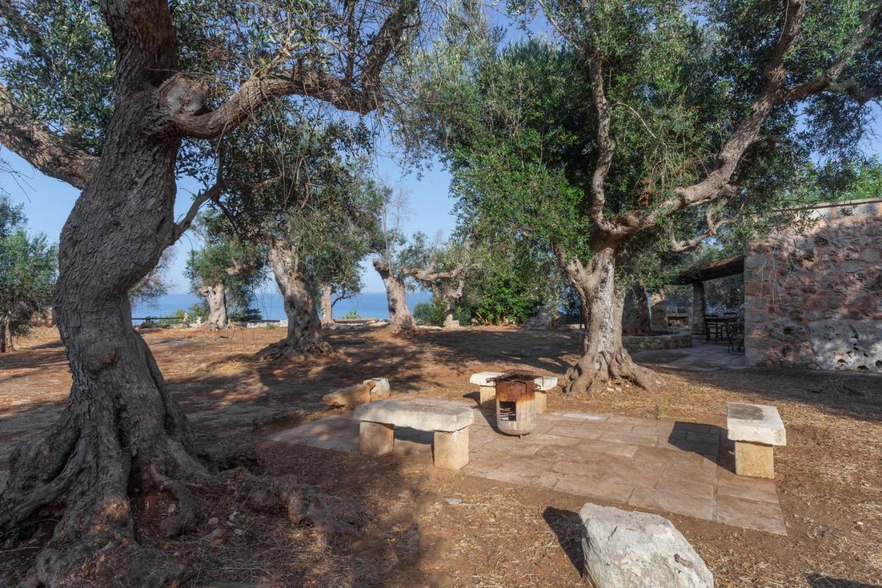 Levante E Libeccio Villette Vista Mare - Marina Di Андрано Екстериор снимка